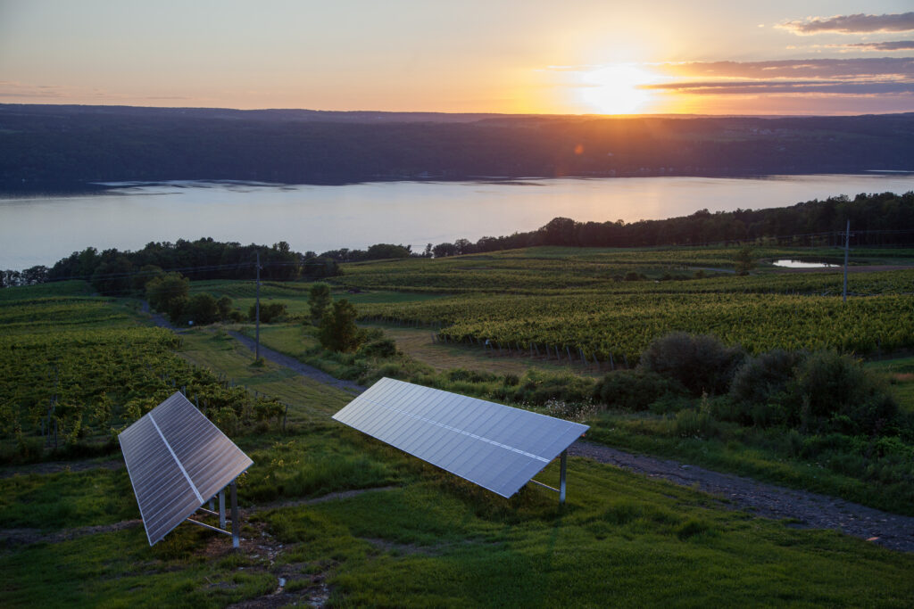 solar panels on a grassy hill with a sunset over Seneca Lake in the background
